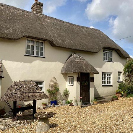 Guest Suite At 31 Little England Milborne Saint Andrew Buitenkant foto